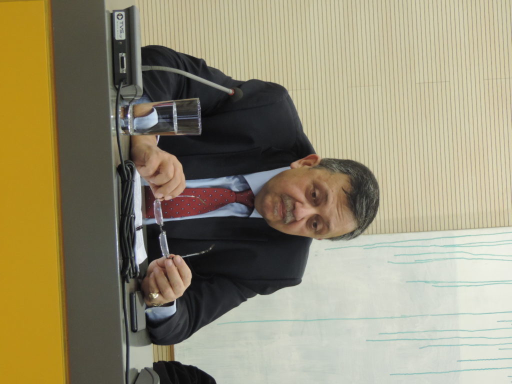 Δώδεκα πεύκα και ένας ευκάλυπτος