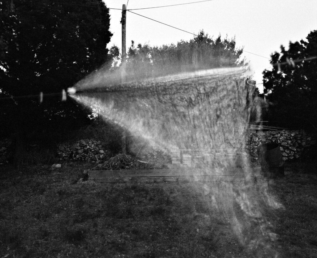 Cornelia Mittendorfer “a loop, a line, a limbo”
