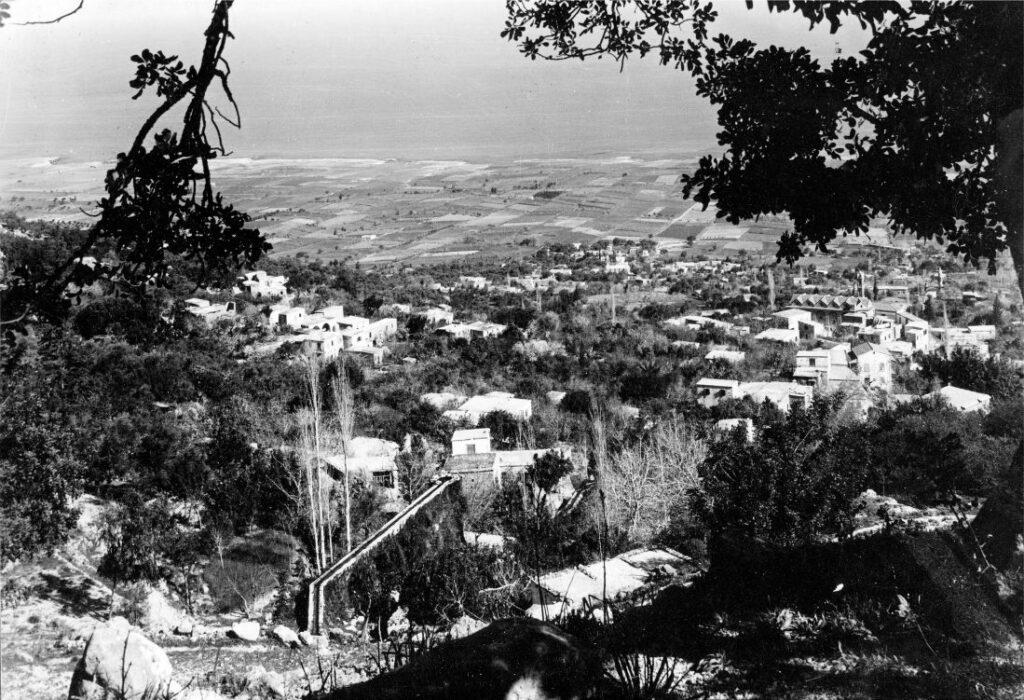 “Ancient Lapithos. How legacy data has contributed toward a new understanding of the Middle Bronze Age in Cyprus” της Jennifer M. Webb